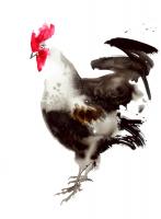 Little Red Rooster 4 #109098 Little Red Rooster 4 #109098