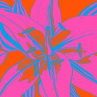 Tiger Lilly Recolor A #110055 Tiger Lilly Recolor A #110055