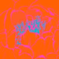 Peony Recolor A #110057 Peony Recolor A #110057