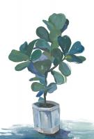 Potted Plant #112352 Potted Plant #112352