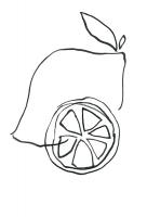 Fruit Contour Lemons #112383 Fruit Contour Lemons #112383