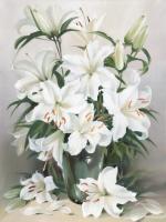 Lilien #11676 Lilien #11676