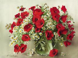 Mohn Und G?nsebl?mchen #11677 Mohn Und G?nsebl?mchen #11677