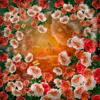 Love Roses #11712 Love Roses #11712