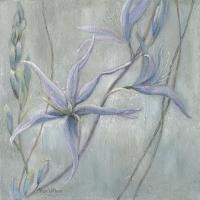 Blue #11717 Blue #11717