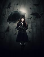 Dark Days #11778 Dark Days #11778