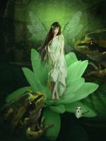 Fairy 46 #11781 Fairy 46 #11781