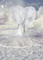 Liefdeskaart 16 #11783 Liefdeskaart 16 #11783