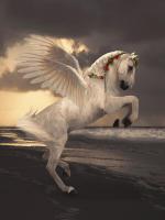 Pegasus With Roses #11786 Pegasus With Roses #11786