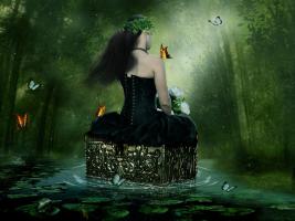 The Chest Of Secrets #11789 The Chest Of Secrets #11789