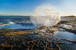 Splash II #11804 Splash II #11804