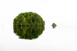 Green Island #11807 Green Island #11807