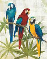 Birds of a Feather II #12360