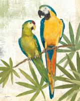 Birds of a Feather III #12361