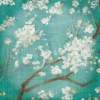 White Cherry Blossoms I Aged no Bird #13840