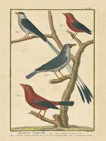 Bird Drawing III #15814