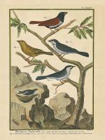 Bird Drawing IV #15815 Bird Drawing IV #15815