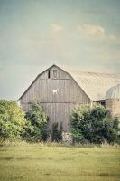 Late Summer Barn II #30334 Late Summer Barn II #30334