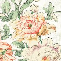 Cottage Roses VI #31616 Cottage Roses VI #31616