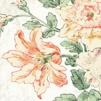 Cottage Roses VII #31617 Cottage Roses VII #31617