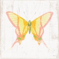 White Barn Butterflies IV #31773