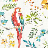 Tropical Oasis III White #34970 Tropical Oasis III White #34970
