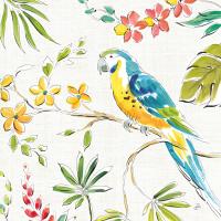 Tropical Oasis IV White #34971 Tropical Oasis IV White #34971