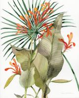 Botanical Flame Lilies Crop #35294