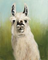 Whos Your Llama I #36176 Whos Your Llama I #36176