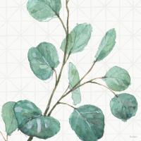 Mixed Greens LI #36527 Mixed Greens LI #36527