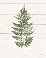 Fern Print I Crop #37053 Fern Print I Crop #37053
