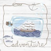 Ship in a Bottle Adventure Shiplap #38809