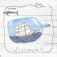 Ship in a Bottle Discover Shiplap #38811 Ship in a Bottle Discover Shiplap #38811