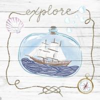 Ship in a Bottle Explore Shiplap #38812 Ship in a Bottle Explore Shiplap #38812