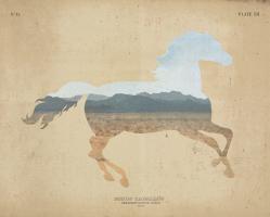 American Southwest Horse Distressed #38816 American Southwest Horse Distressed #38816