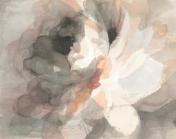 Abstract Peony Crop #39371-28x22 Abstract Peony Crop #39371-28x22