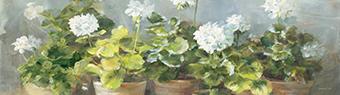 White Geraniums v2 Crop #41460