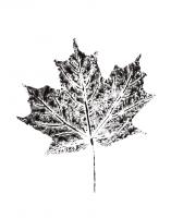Harvest Sentiments I BW no Words #41573