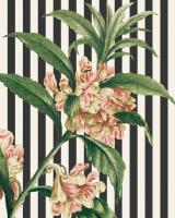 Herbal Botanical XXVI Bold Crop #41692 Herbal Botanical XXVI Bold Crop #41692
