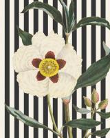Herbal Botanical XXVII Bold Crop #41693 Herbal Botanical XXVII Bold Crop #41693
