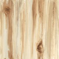 Wood Panel II #41766 Wood Panel II #41766