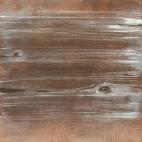 Wood Panel V #41769 Wood Panel V #41769