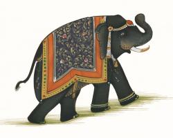India Elephant I Light Crop #41825 India Elephant I Light Crop #41825