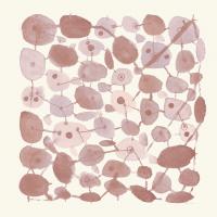 Mid Century IV Blush #42741 Mid Century IV Blush #42741