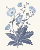 Blue Botanical VI #42745 Blue Botanical VI #42745