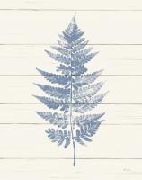 Fern Print I Blue Crop #42746 Fern Print I Blue Crop #42746