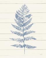 Fern Print II Blue Crop #42747 Fern Print II Blue Crop #42747