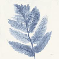 Forest Ferns I Blue #42748 Forest Ferns I Blue #42748