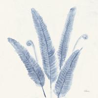 Forest Ferns II v2 Blue #42749 Forest Ferns II v2 Blue #42749