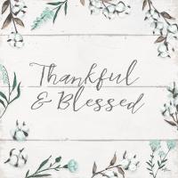 Blessed VI v2 #43152 Blessed VI v2 #43152